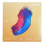 Ascente Violin String