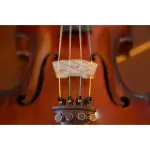 Thomastik Dominant Violin String Set