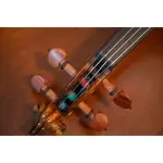 Alice A747 Violin String Set
