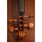 Averna Violin String