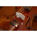 Averna Violin String